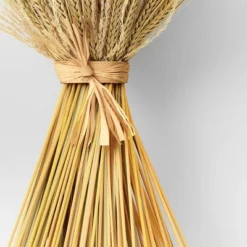 Fall Grass Standing Bundle - Threshold™ -Threshold™ GUEST 0563602a 4966 4f8b b633 13cd898843e7