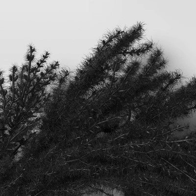 Halloween Grass Wreath Black - Threshold™ 5 Halloween Grass Wreath Black - Threshold™ - Image 3