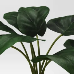 Artificial Leaf In Wood Planter - Threshold™: Lush Taro, White Stoneware Pot, Indoor Decor -Threshold™ GUEST 150b27c1 af3c 47f6 ad76 e75d056d693a