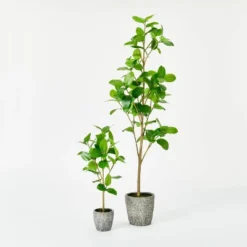 Banyan Tree Potted - Threshold™ Designed With Studio McGee -Threshold™ GUEST 15cd2526 7a74 4a08 9fe1 2d0826607ef4