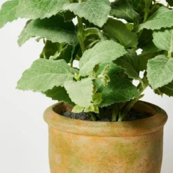 Artificial Potted Mint Leaf - Threshold™ Designed With Studio McGee -Threshold™ GUEST 19a08200 78b7 461e bcd9 c962450d4305