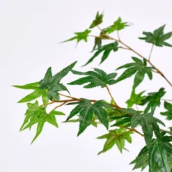 Front Page -Threshold™ GUEST 246a406c 5c01 4ed6 acdd 1203a7cca8a7