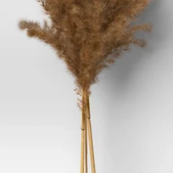 Pampas Grass Bundle - Threshold™ -Threshold™ GUEST 26edef61 6665 4adf 8950 0f1ca68295ab