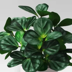 Green Leaf Plant In White Pot - Threshold™ -Threshold™ GUEST 344b8e70 61f9 4a1d af3f 457284307f77