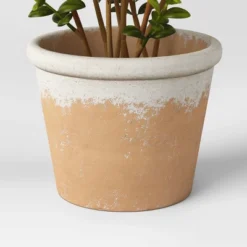Artificial Medium Boxwood In Terracotta Pot Green - Threshold™ Designed With Studio McGee -Threshold™ GUEST 3859bebc ef74 4067 b0a8 d2730a37750b