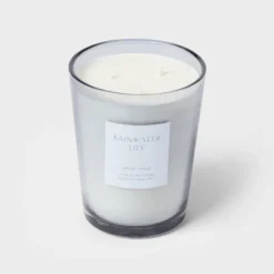 Colored Vase Glass With Dustcover Rainwater Lily Candle Gray - Threshold™ 11 Colored Vase Glass With Dustcover Rainwater Lily Candle Gray - Threshold™ -Threshold™ GUEST 4dd3a894 6c80 4248 a2de 93743bf8dee9