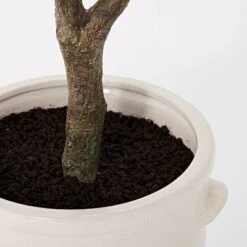 76.5"x 30" Artificial Olive Tree In Ceramic Pot - Threshold™ Designed With Studio McGee -Threshold™ GUEST 5f1c0b63 d965 4bfb 9559 6084dae15f92