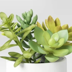 Artificial Succulents Plant In Pot - Threshold™ -Threshold™ GUEST 90eb1522 2fb2 472e 8125 d6acdc8fd939