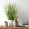 25" X 15" Artificial Onion Grass Arrangement In Ceramic Pot - Threshold™ 2 25" X 15" Artificial Onion Grass Arrangement In Ceramic Pot - Threshold™ -Threshold™ GUEST 9780783e 14a4 48cf 8351 1567c24a520e