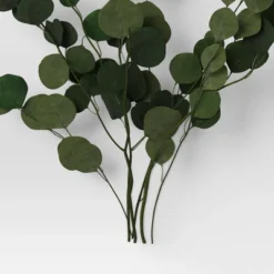 Preserved Eucalyptus Bundle - Threshold™ 7 Preserved Eucalyptus Bundle - Threshold™ -Threshold™ GUEST c7dd4b87 faec 4ba4 94c4 c0953dd894d7