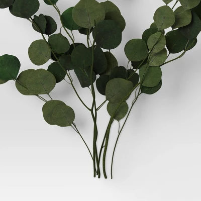 Preserved Eucalyptus Bundle - Threshold™ 5 Preserved Eucalyptus Bundle - Threshold™ - Image 3