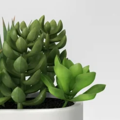 Artificial Succulents In Long Pot White - Threshold™ -Threshold™ GUEST f6774a9f 77ab 46c8 9631 e321c06e5fb2