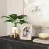 Artificial Leaf In Wood Planter - Threshold™: Lush Taro, White Stoneware Pot, Indoor Decor -Threshold™ GUEST f9cc5ada 547c 4188 abea cc406747584f